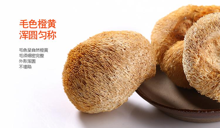 山真美猴头菇毛色橙黄，浑圆均匀