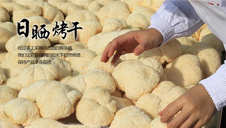 日晒烤干猴头菇