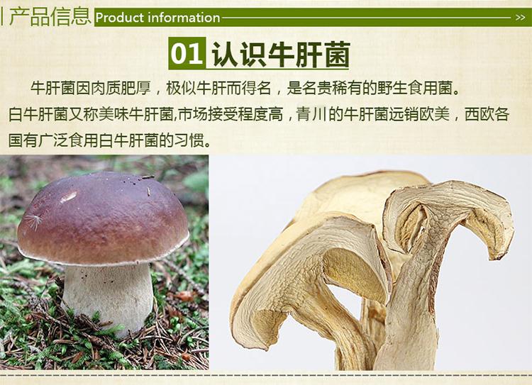 山真美产品信息牛肝菌