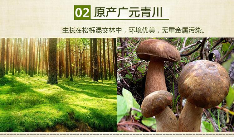 山真美牛肝菌原产广元青川
