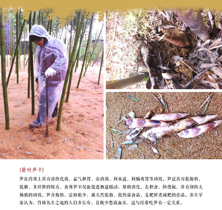 山真美竹笋现场采摘展示