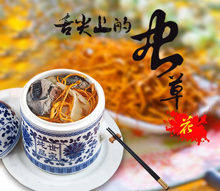 山真美虫草花展示图