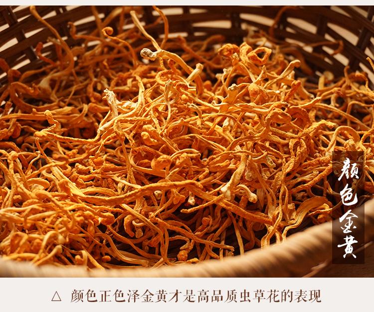 山真美虫草花颜色正色泽金黄