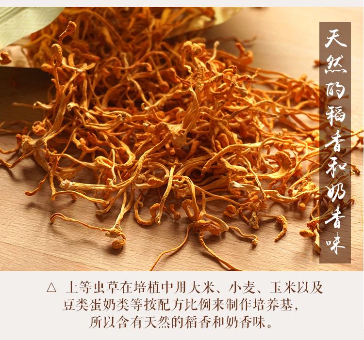 山真美虫草花培植科学