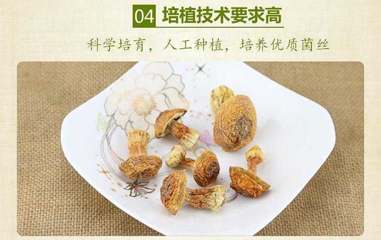 山真美姬松茸科学培养，人工种植