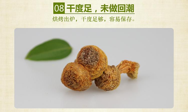 山真美特产姬松茸干度足，未做回潮
