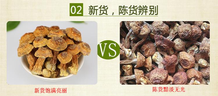 新货旧货辨别-姬松茸