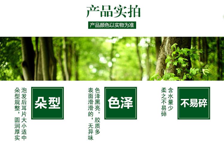 椴木单片细木耳产品实拍