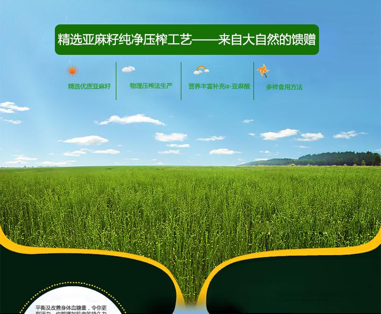 亚麻籽油压榨工艺精良